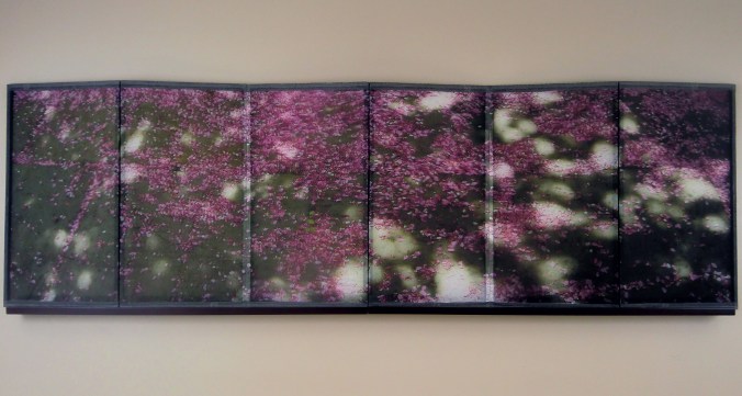 Petals, Conservatory Garden, Central Park